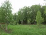Участок 3,7 Га, Ленинградское ш., 75 км от МКАД