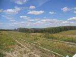 Продается участок в Богородском р-не,д.Арапово